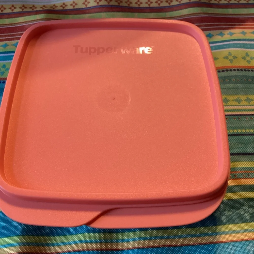 Tupperware Lunch-It Containers - set of 2